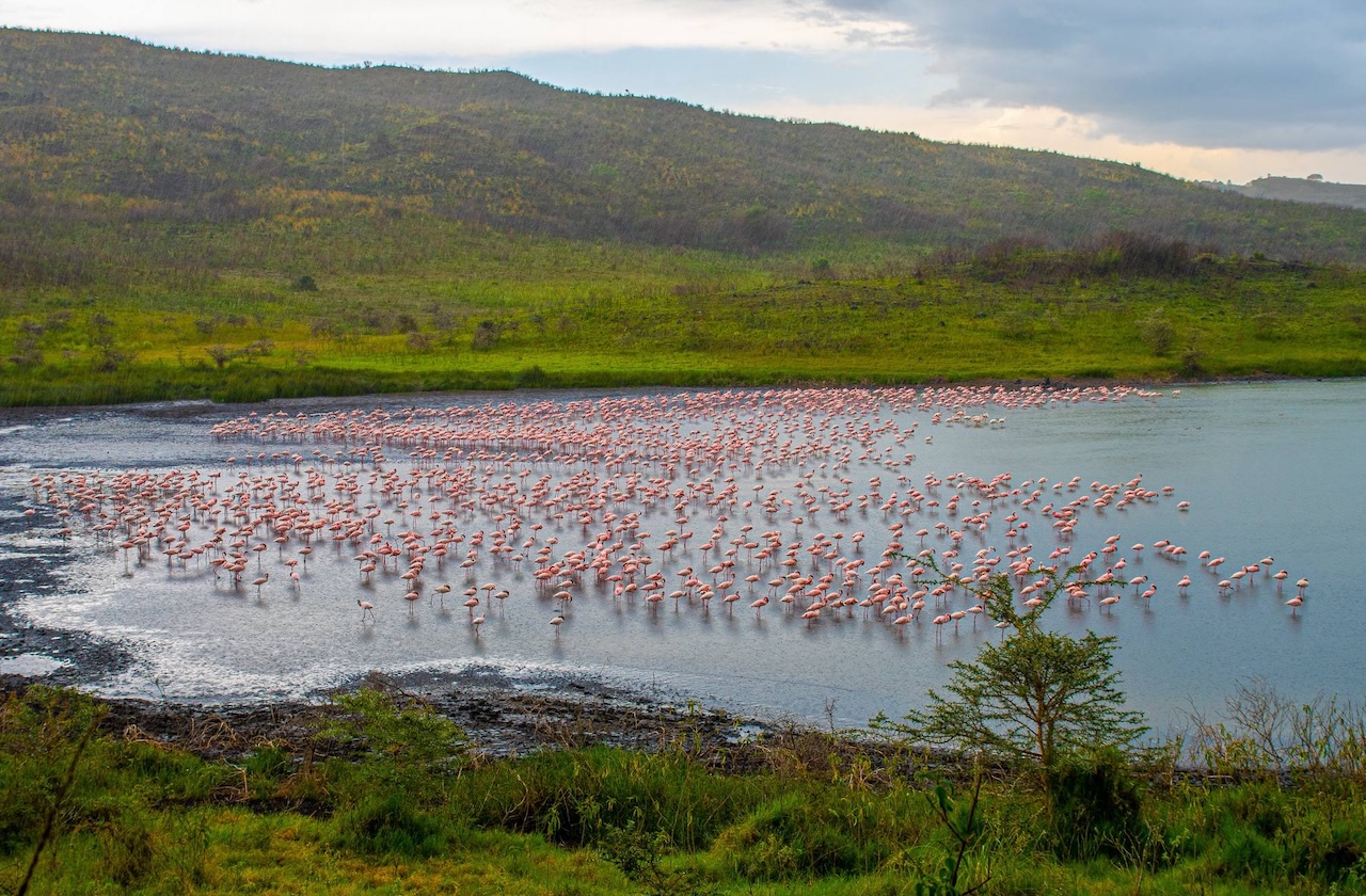 momella lakes arusha national park