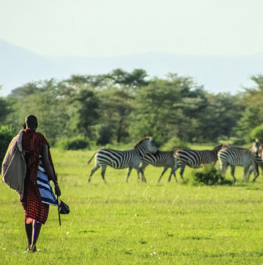 screenshot 2026 03 26 154848