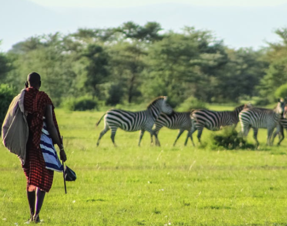 screenshot 2026 03 30 091422