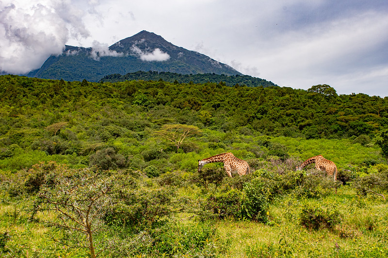 arusha national park