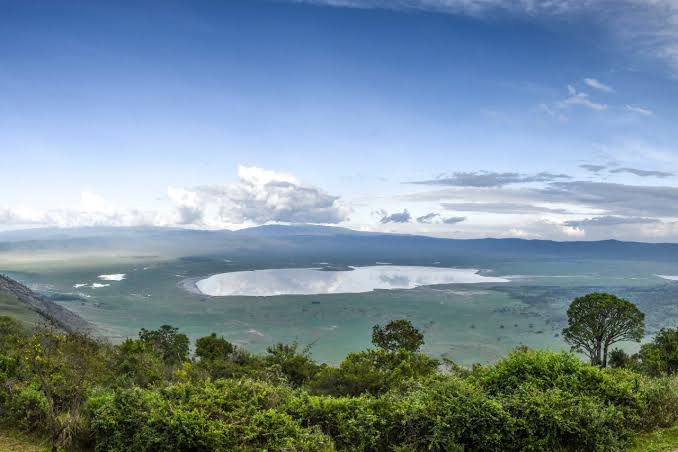 ngorongoro creator