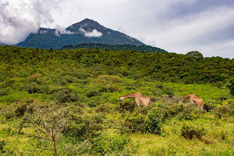 Arusha National Park